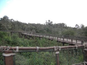 Nairobi Safari walk guide - NSW