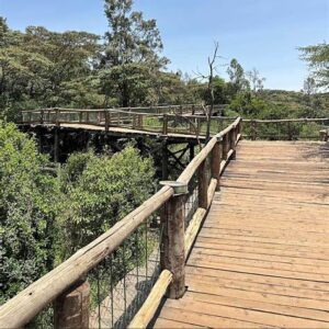 Nairobi-Safari-walk-nsw.jpg