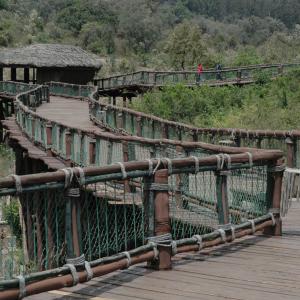 Nairobi safari walk images