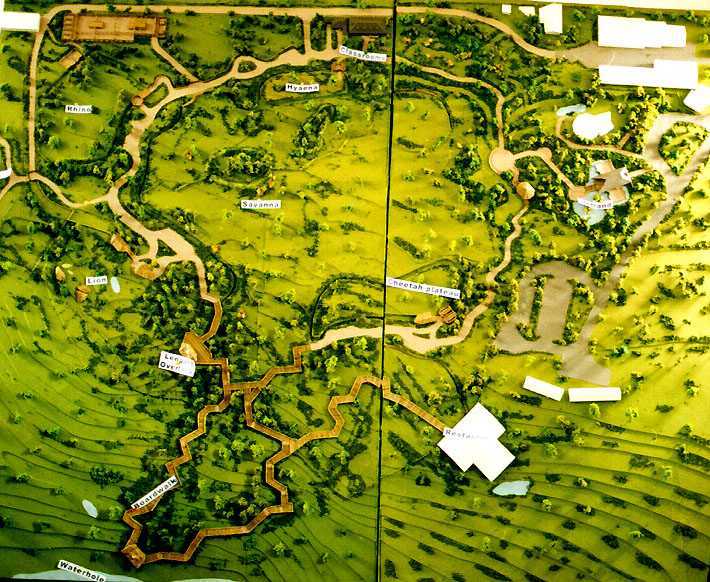 Nairobi Safari Walk Map Design Model Showing All Routes on the Boardwalk